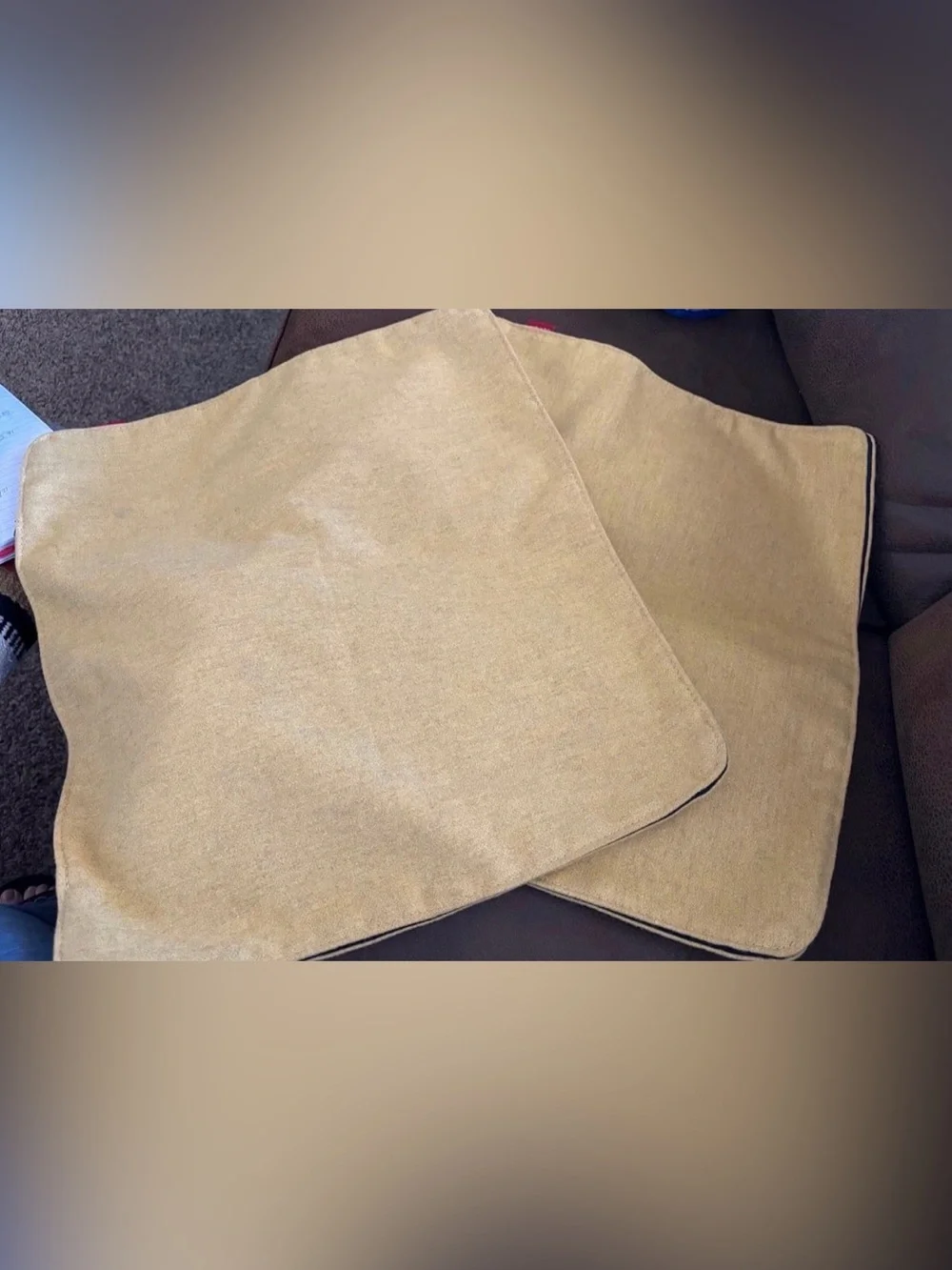 Pair of Designer Arper Italian Pillow Covers